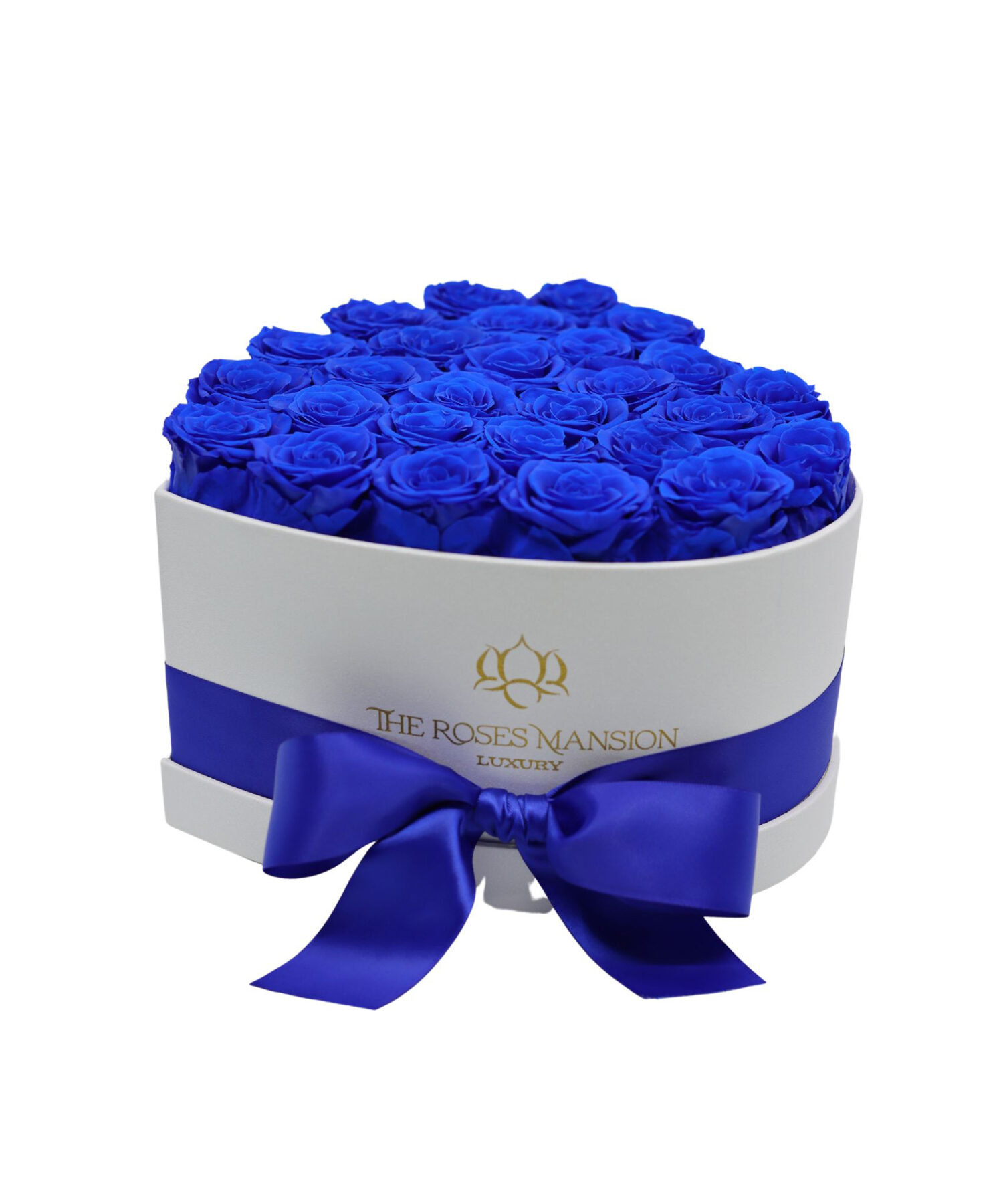 Royal Blue Roses