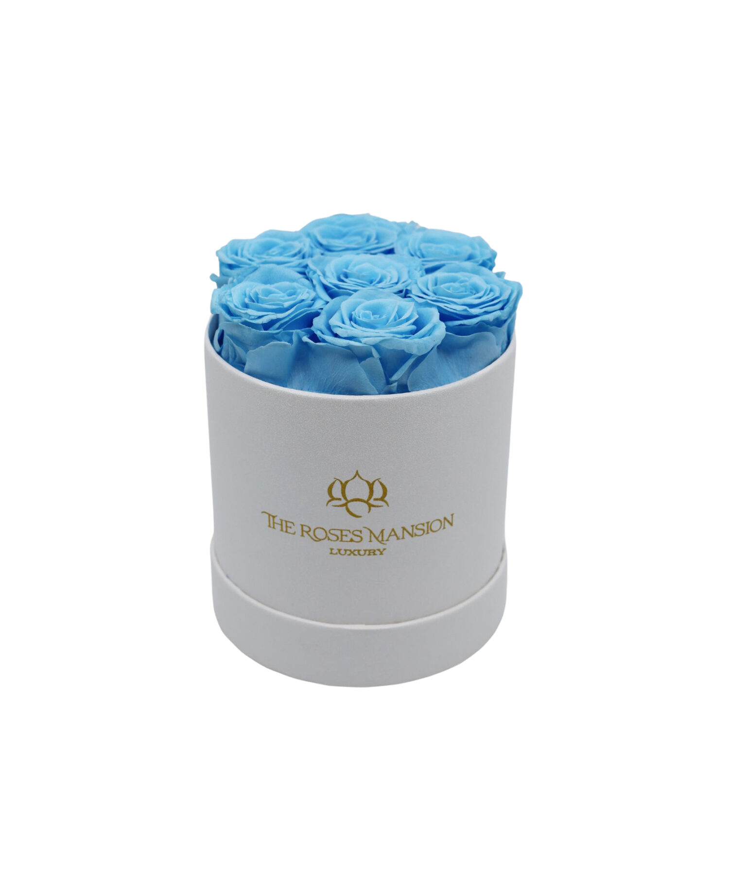 Light Blue Roses