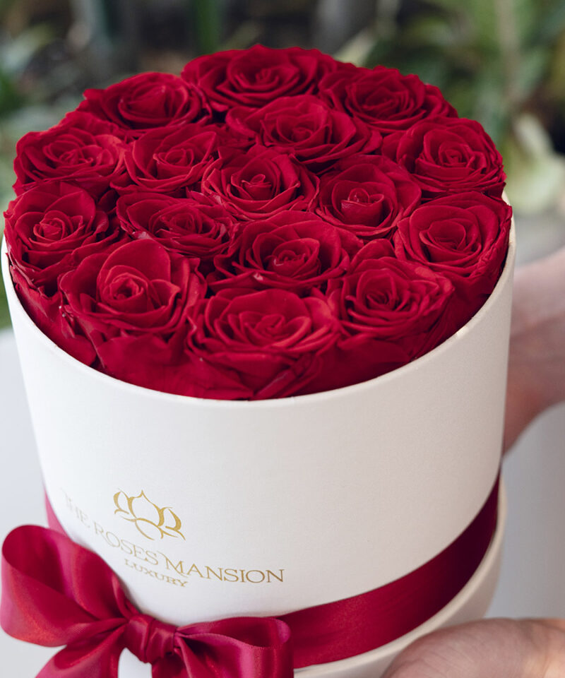 Why Are Preserved Roses So Expensive? Delving into the Value of Everlasting Blooms